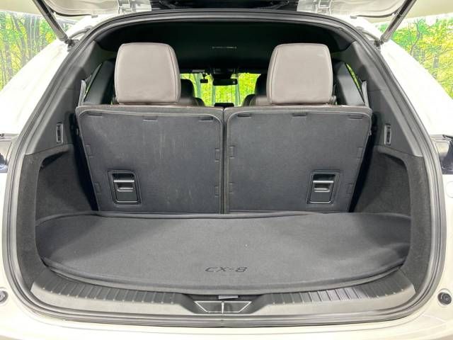 Mazda CX-8 2018-02 195424-11