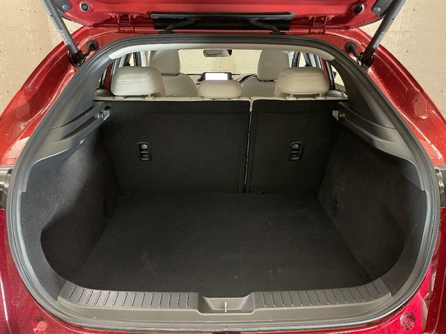 Mazda CX-30 2021-01 181221-15