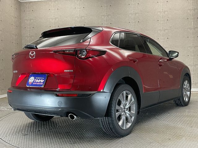 Mazda CX-30 2021-01 181221-3