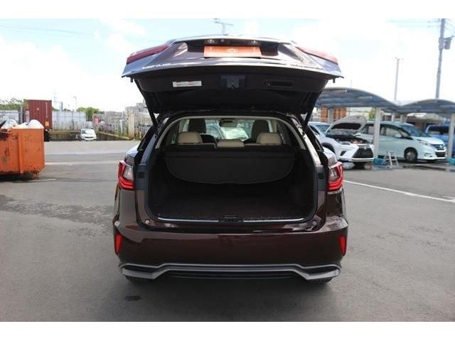 Lexus RX 2016-03 7011-9