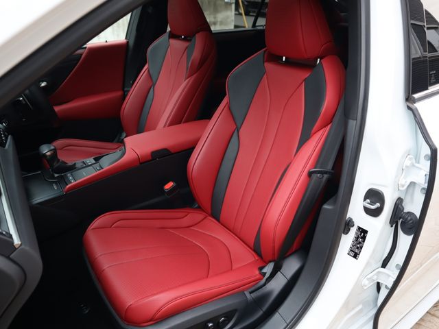 Lexus ES 2019-08 1275-9