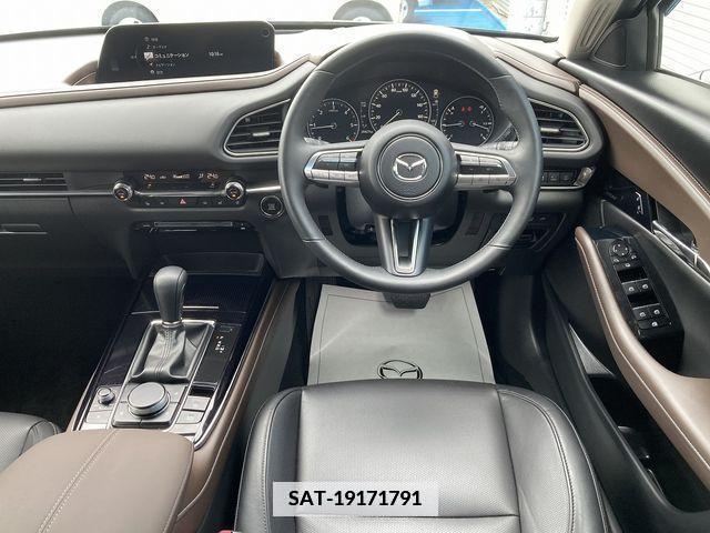 Mazda CX-30 2019-11 346332-15