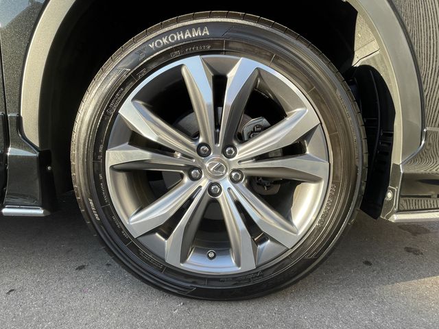 Lexus RX 2019-05 28671-29