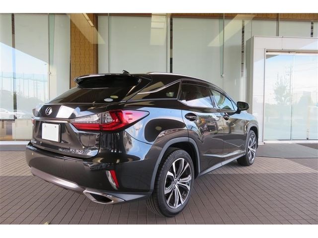 Lexus RX 2019-05 28671-3