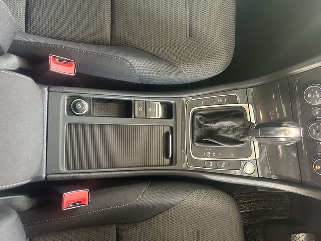 VolksWagen GOLF 2019-09 195063-15