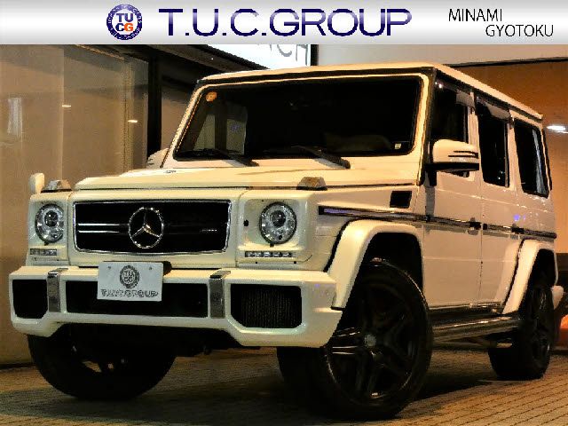 Amg G-CLASS 2013-06 3980-0