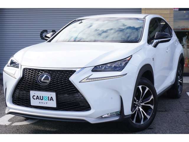 Lexus NX 2016-08 6706-5