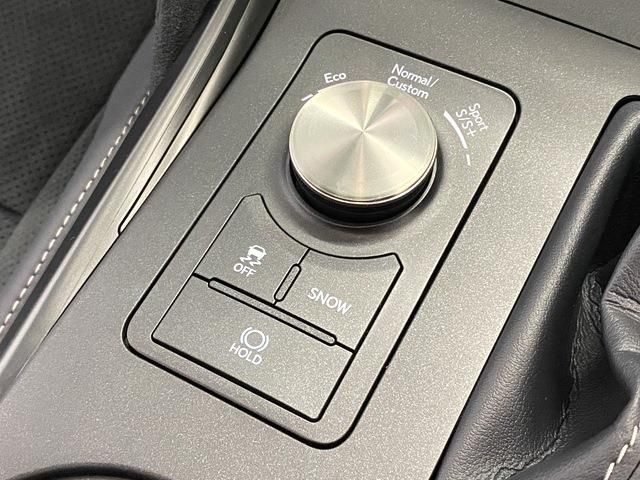 Lexus IS 2023-06 189073-15