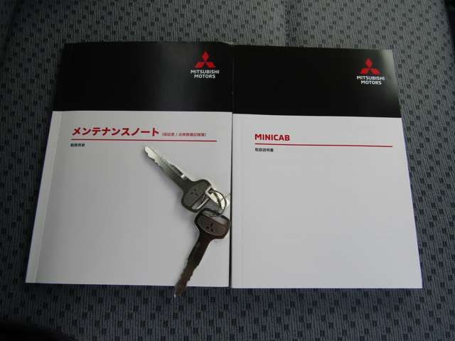 Mitsubishi MINICAB TRUCK 2022-11 21684-19