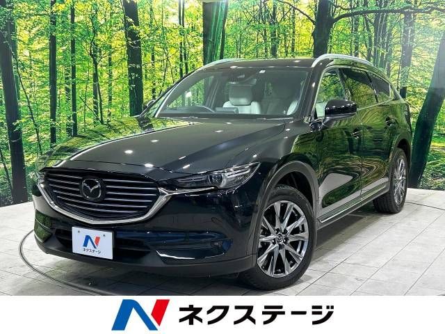 Mazda CX-8 2019-04 192918-0