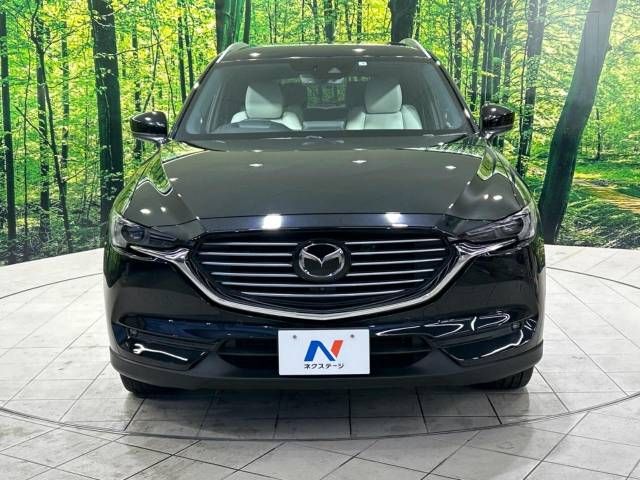Mazda CX-8 2019-04 192918-14