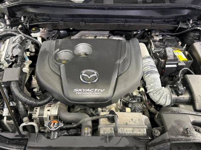 Mazda CX-8 2019-04 192918-18