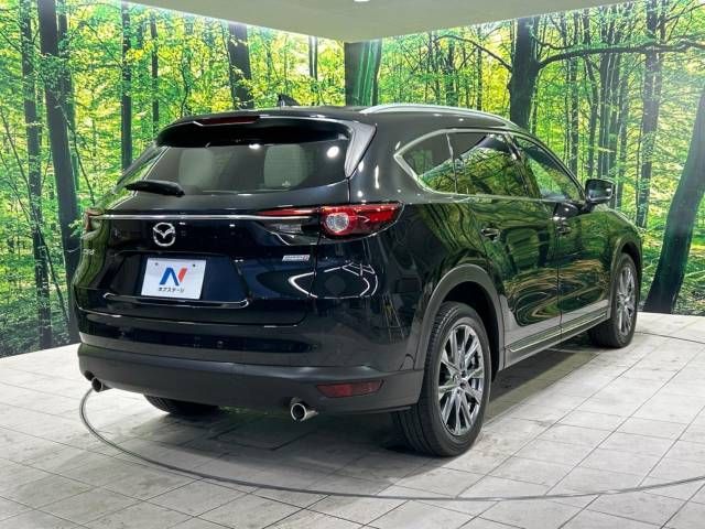 Mazda CX-8 2019-04 192918-17