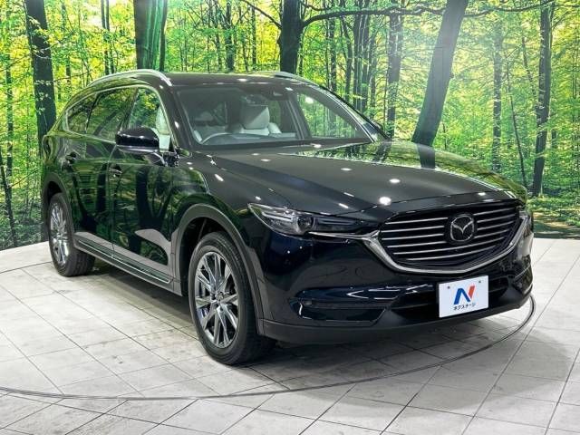 Mazda CX-8 2019-04 192918-16