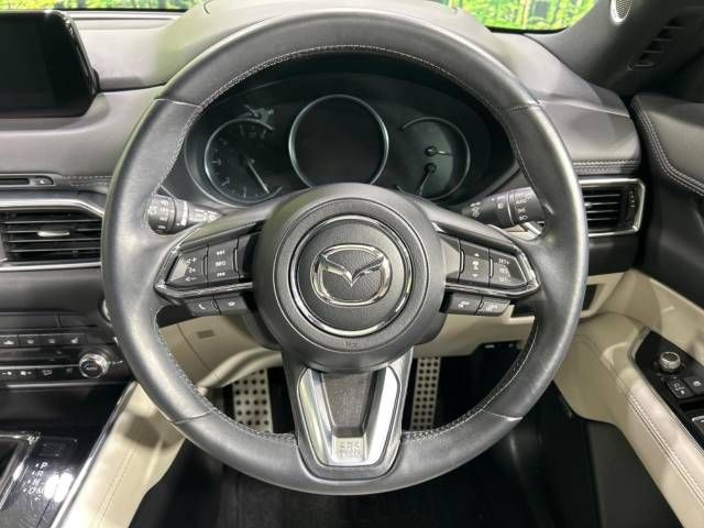 Mazda CX-8 2019-04 192918-11