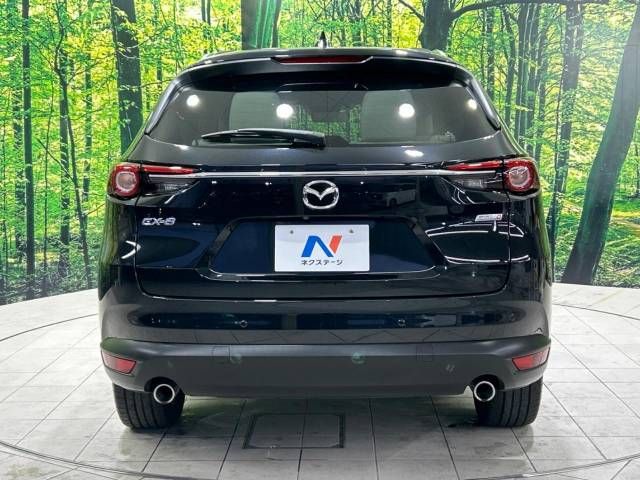 Mazda CX-8 2019-04 192918-15