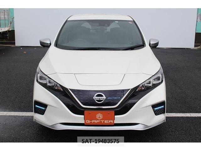 Nissan LEAF 2019-11 297889-1