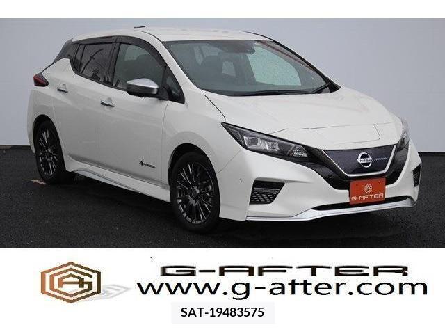 Nissan LEAF 2019-11 297889-0