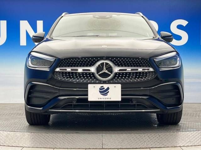 Mercedes Benz GLA-CLASS 2021-01 189669-15