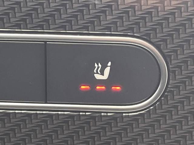 Mercedes Benz GLA-CLASS 2021-01 189669-7