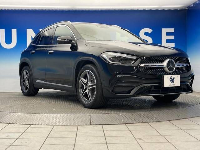 Mercedes Benz GLA-CLASS 2021-01 189669-17