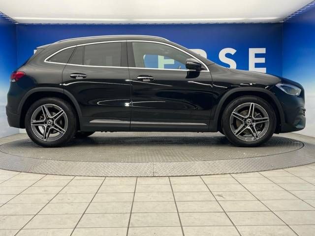 Mercedes Benz GLA-CLASS 2021-01 189669-19