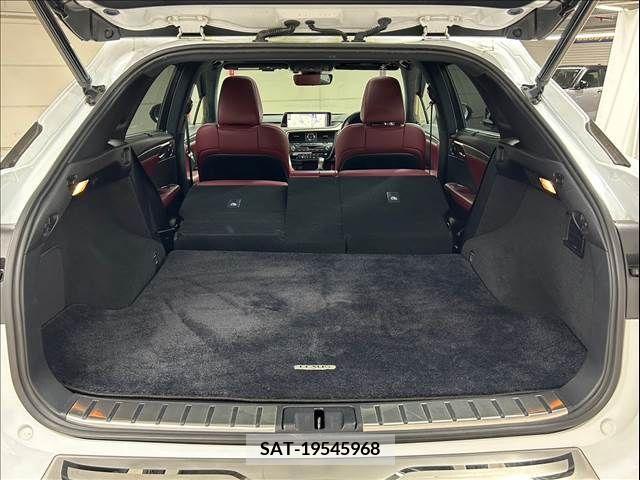 Lexus RX 2016-02 298642-19