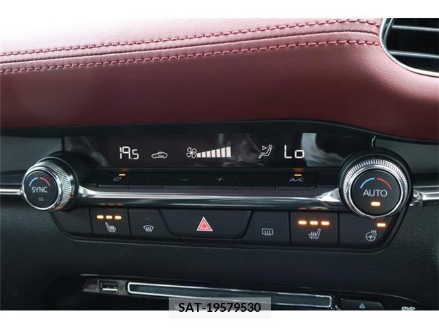 Mazda MAZDA3 2019-06 301049-18