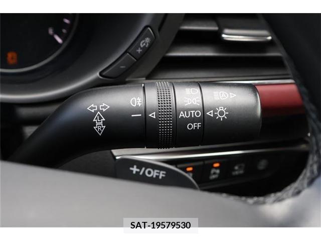 Mazda MAZDA3 2019-06 301049-17