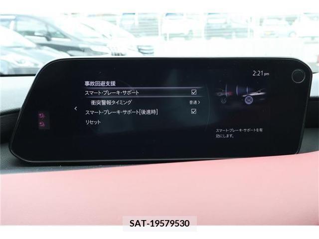 Mazda MAZDA3 2019-06 301049-7