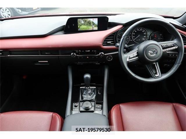 Mazda MAZDA3 2019-06 301049-4