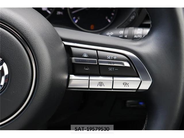 Mazda MAZDA3 2019-06 301049-14