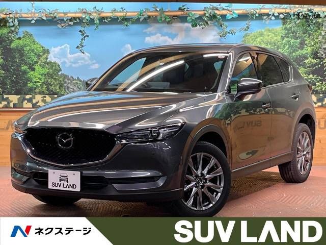 Mazda CX-5 2021-02 189254-0