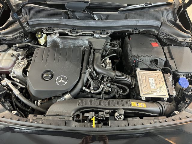 Mercedes Benz B-CLASS 2021-08 181327-6