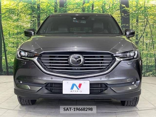 Mazda CX-8 2018-03 233059-13