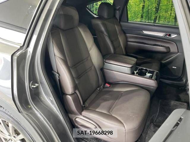 Mazda CX-8 2018-03 233059-8