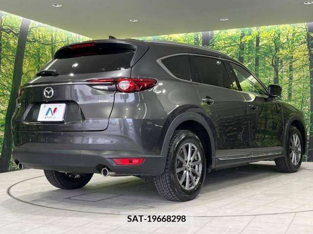Mazda CX-8 2018-03 233059-16