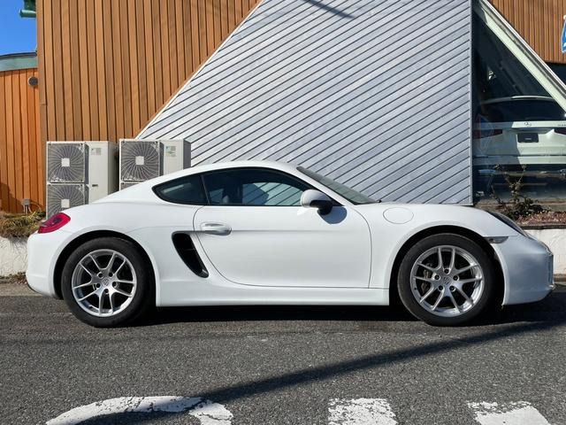 Porsche CAYMAN 2014-02 584-5