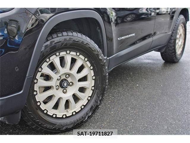Jeep CHEROKEE 2019-01 396918-28