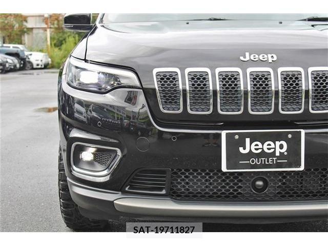 Jeep CHEROKEE 2019-01 396918-22