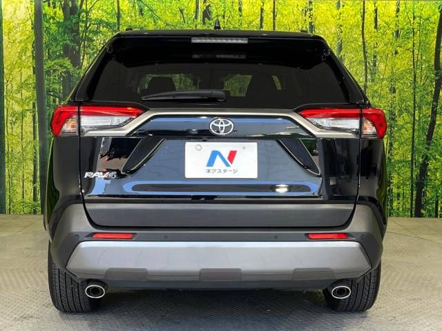 Toyota RAV4 2019-06 19246-15