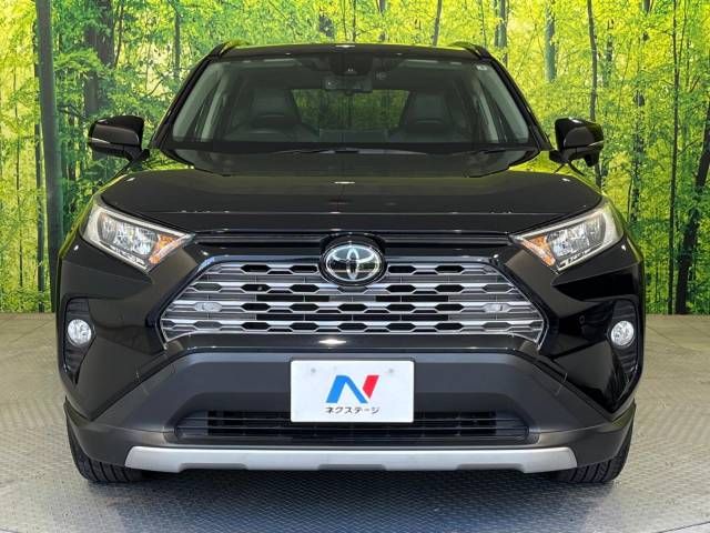 Toyota RAV4 2019-06 19246-14