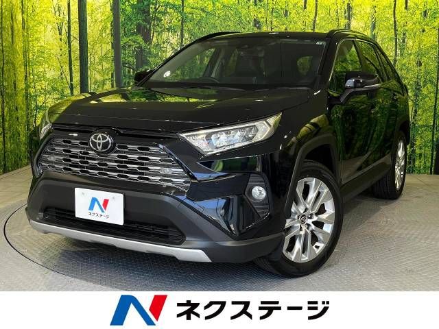 Toyota RAV4 2019-06 19246-0