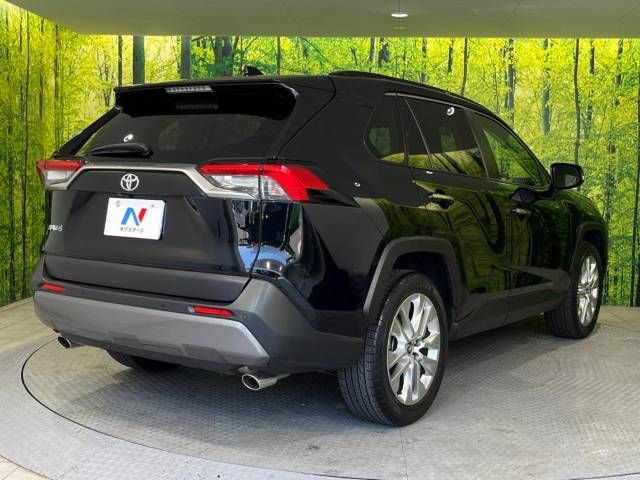 Toyota RAV4 2019-06 19246-17