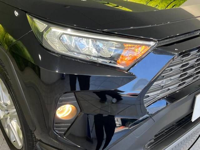 Toyota RAV4 2019-06 19246-12