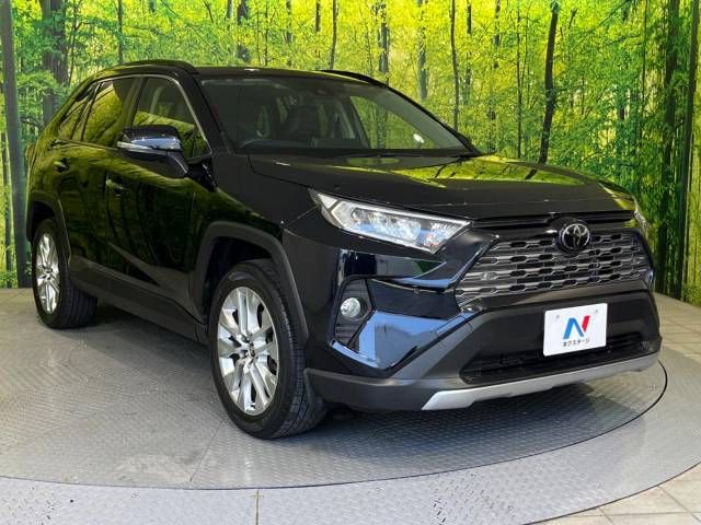 Toyota RAV4 2019-06 19246-16