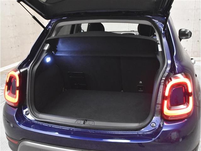 Fiat 500X 2020-05 12448-27