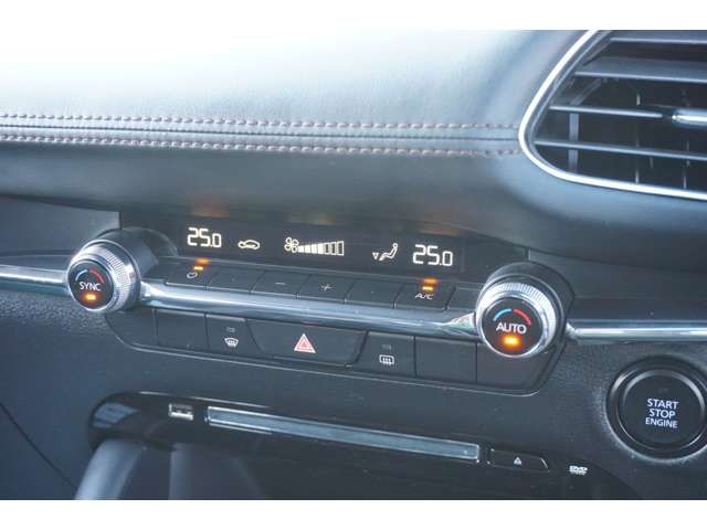 Mazda MAZDA3 2019-07 6378-11