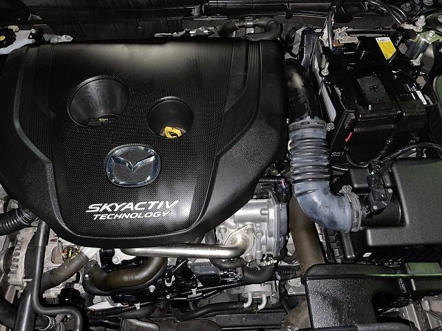 Mazda CX-3 2015-10 15904-25