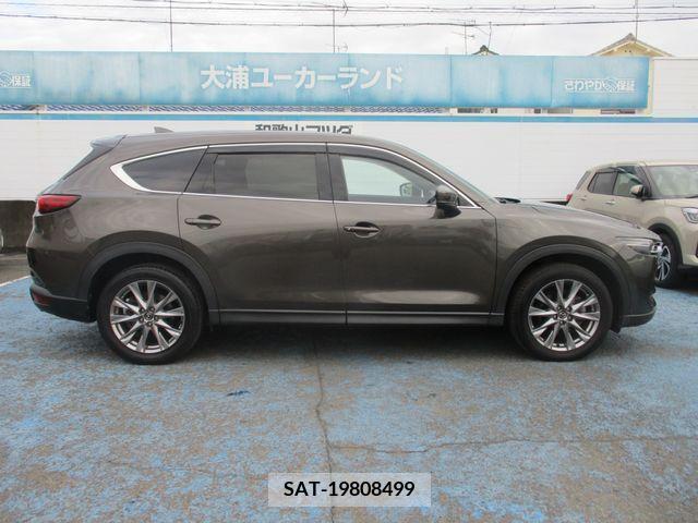 Mazda CX-8 2019-05 372015-6